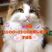 ヒメ日記 2025/10/08 08:10 投稿 すばる 熟女の風俗最終章 町田店