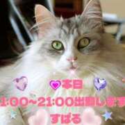 ヒメ日記 2025/10/15 08:23 投稿 すばる 熟女の風俗最終章 町田店