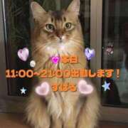 ヒメ日記 2025/10/22 08:20 投稿 すばる 熟女の風俗最終章 町田店