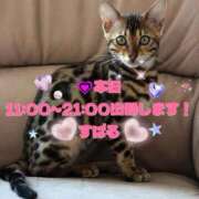 ヒメ日記 2025/10/29 08:20 投稿 すばる 熟女の風俗最終章 町田店