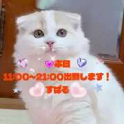 ヒメ日記 2025/11/19 08:15 投稿 すばる 熟女の風俗最終章 町田店