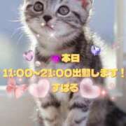 すばる 鶏竜田バーガー！ 熟女の風俗最終章 町田店