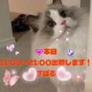 ヒメ日記 2025/12/10 08:10 投稿 すばる 熟女の風俗最終章 町田店