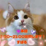 ヒメ日記 2025/12/17 08:00 投稿 すばる 熟女の風俗最終章 町田店