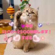 ヒメ日記 2025/12/24 08:00 投稿 すばる 熟女の風俗最終章 町田店