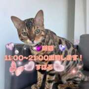 ヒメ日記 2026/01/13 12:10 投稿 すばる 熟女の風俗最終章 町田店