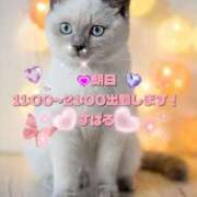 ヒメ日記 2026/01/20 12:20 投稿 すばる 熟女の風俗最終章 町田店