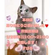 ヒメ日記 2026/01/21 22:00 投稿 すばる 熟女の風俗最終章 町田店