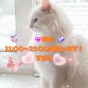 ヒメ日記 2026/01/27 12:30 投稿 すばる 熟女の風俗最終章 町田店