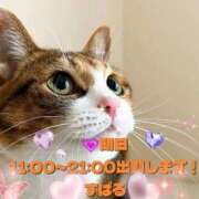 ヒメ日記 2026/02/10 12:50 投稿 すばる 熟女の風俗最終章 町田店