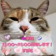 ヒメ日記 2026/02/11 08:20 投稿 すばる 熟女の風俗最終章 町田店