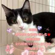 ヒメ日記 2026/02/11 22:10 投稿 すばる 熟女の風俗最終章 町田店