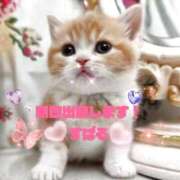 ヒメ日記 2026/02/17 12:20 投稿 すばる 熟女の風俗最終章 町田店