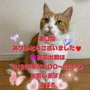 すばる 感謝です💙 熟女の風俗最終章 町田店