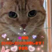 すばる にゃんにゃんの日！ 熟女の風俗最終章 町田店