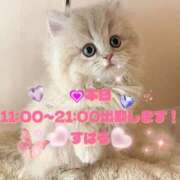 ヒメ日記 2026/03/11 08:01 投稿 すばる 熟女の風俗最終章 町田店