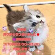 ヒメ日記 2026/03/11 20:30 投稿 すばる 熟女の風俗最終章 町田店