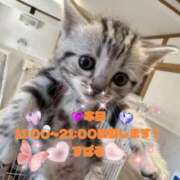 ヒメ日記 2026/03/17 13:34 投稿 すばる 熟女の風俗最終章 町田店