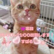 ヒメ日記 2026/03/18 08:15 投稿 すばる 熟女の風俗最終章 町田店