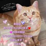 ヒメ日記 2026/03/18 21:50 投稿 すばる 熟女の風俗最終章 町田店