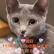 ヒメ日記 2026/04/21 12:01 投稿 すばる 熟女の風俗最終章 町田店