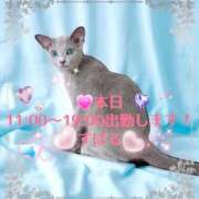 ヒメ日記 2026/04/22 08:18 投稿 すばる 熟女の風俗最終章 町田店