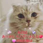 ヒメ日記 2026/07/01 20:01 投稿 すばる 熟女の風俗最終章 町田店