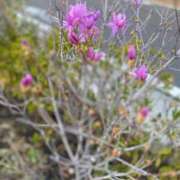 ヒメ日記 2026/03/03 19:03 投稿 はるひ 府中ダービー