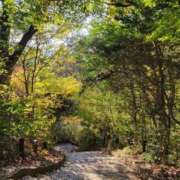 ヒメ日記 2026/03/05 20:40 投稿 はるひ 府中ダービー