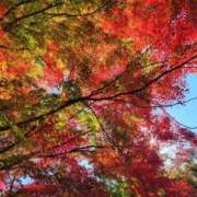 はるひ まだまだだ。 府中ダービー