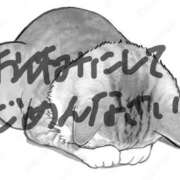 ヒメ日記 2026/03/10 20:43 投稿 はるひ 府中ダービー