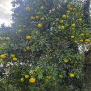 ヒメ日記 2026/03/20 16:00 投稿 はるひ 府中ダービー