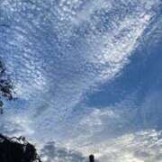 ヒメ日記 2026/03/24 20:18 投稿 はるひ 府中ダービー