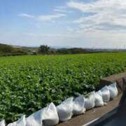 ヒメ日記 2026/03/26 20:58 投稿 はるひ 府中ダービー