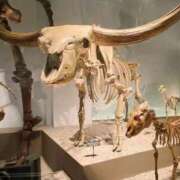 ヒメ日記 2026/03/28 19:18 投稿 はるひ 府中ダービー