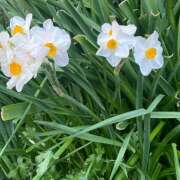 ヒメ日記 2026/04/09 21:08 投稿 はるひ 府中ダービー