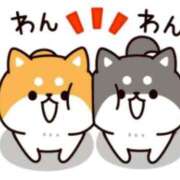 ヒメ日記 2025/05/18 23:29 投稿 かすみ BAD COMPANY 札幌