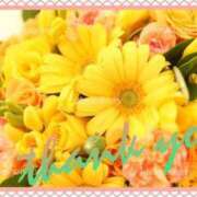 ヒメ日記 2025/01/03 01:15 投稿 さと 熟女家 東大阪店（布施・長田）