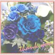 ヒメ日記 2025/11/09 02:45 投稿 さと 熟女家 東大阪店（布施・長田）