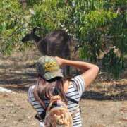 ヒメ日記 2025/03/04 15:26 投稿 芦屋 潤 セグレターリオ