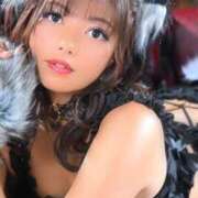 ヒメ日記 2025/04/05 09:50 投稿 芦屋 潤 セグレターリオ