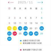 ヒメ日記 2025/11/15 18:30 投稿 芦屋 潤 セグレターリオ