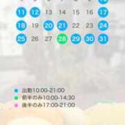 ヒメ日記 2026/01/08 16:47 投稿 芦屋 潤 セグレターリオ