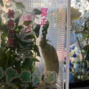 芦屋 潤 七草粥🌿 セグレターリオ