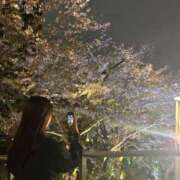 ヒメ日記 2026/04/09 11:01 投稿 芦屋 潤 セグレターリオ