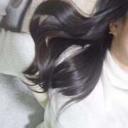 ヒメ日記 2025/01/31 21:10 投稿 くぅ もしもし亀よ亀さんよ 名古屋店