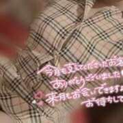 ヒメ日記 2026/07/31 14:35 投稿 らむね ラズベリードール
