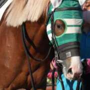 ♦伊々奈 花音♦イイナ カオン 明日…うちの仔が走ります🏇 翡翠の夢