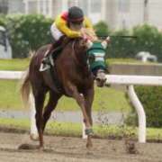 ♦伊々奈 花音♦イイナ カオン 川崎初戦。 翡翠の夢