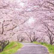 ヒメ日記 2025/03/31 09:01 投稿 あさひ 奥様電車